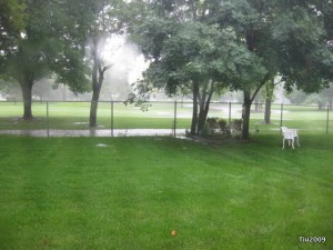 "Lake" in the backyard