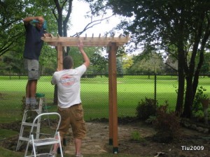 Working on the arbor