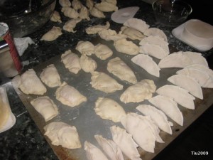 Raw potstickers