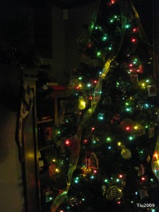 Christmas Tree at Night