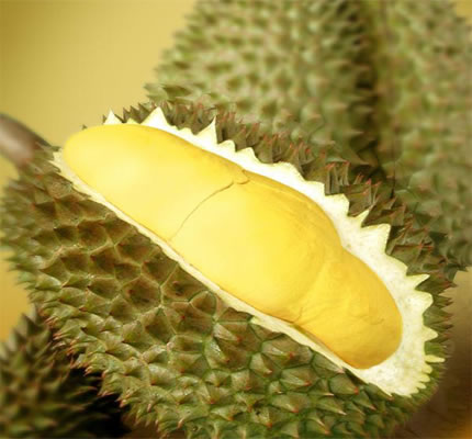 http://www.julietiu.com/wp-content/uploads/2010/03/durian.jpg