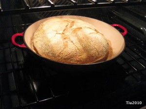 Pane Integrale baking
