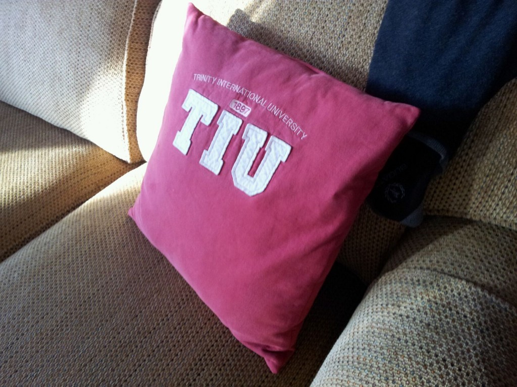 Upcycled Sweatshirt Pillow